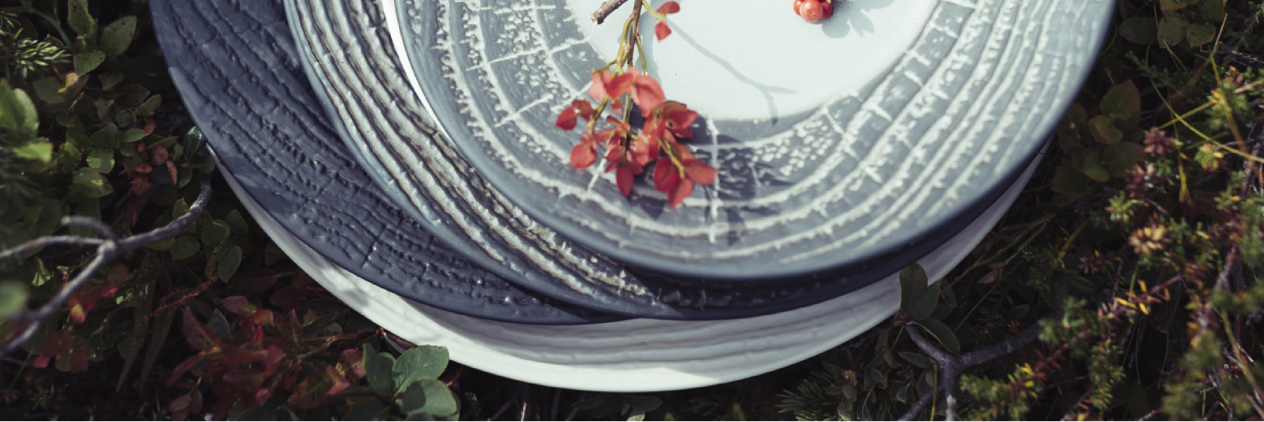 REVOL - Arborescence