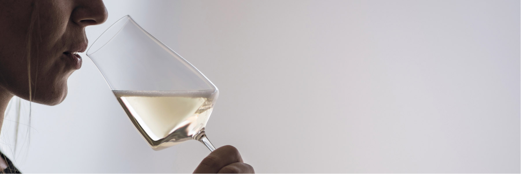 Wine Classics Select