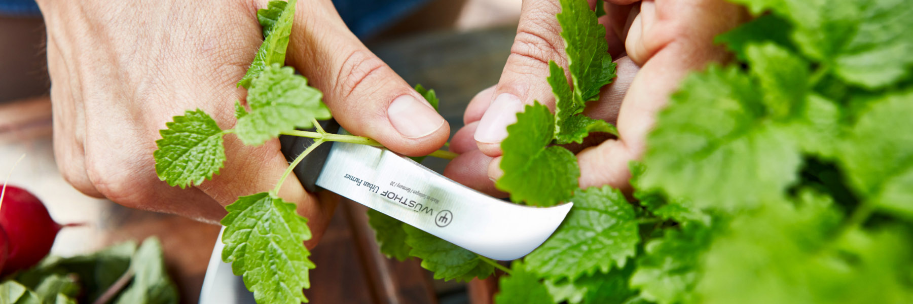 Wüsthof - Urban Farmer