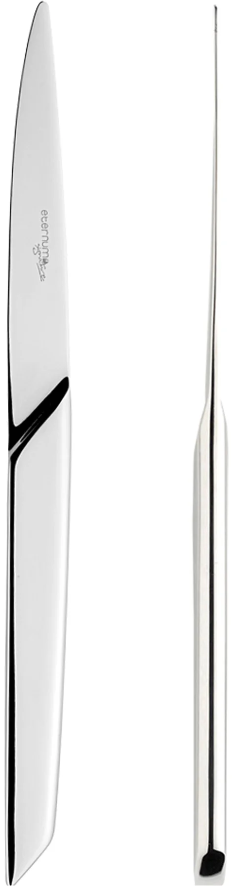 X15 Nóż stołowy mono / ETERNUM