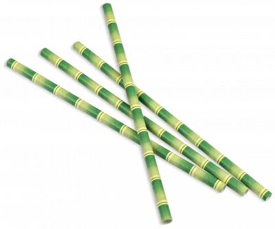 Rurki bambus 8x250 (op. 100 szt)