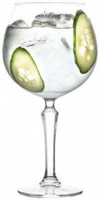 SPKSY Gin & Tonic 585 ml (kpl. 6szt.) / ONIS