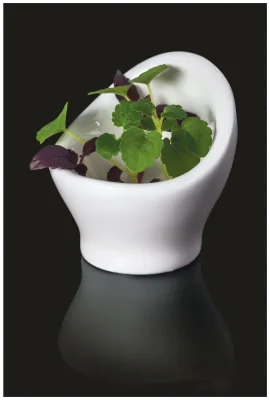MINIMAX Kieliszek na jajko 12 ml / RAK PORCELAIN