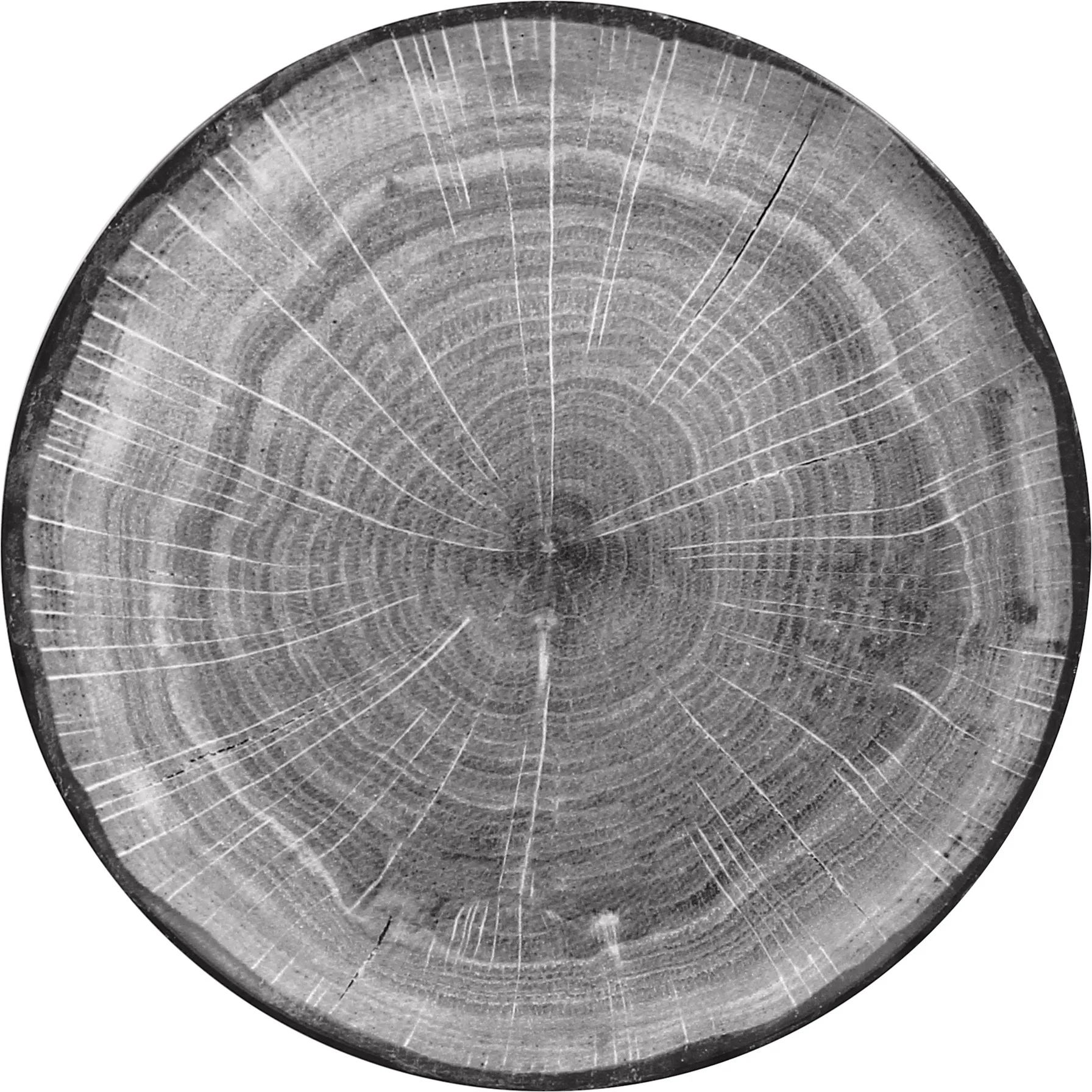 WOODART Talerz płaski szary 24 cm / RAK PORCELAIN