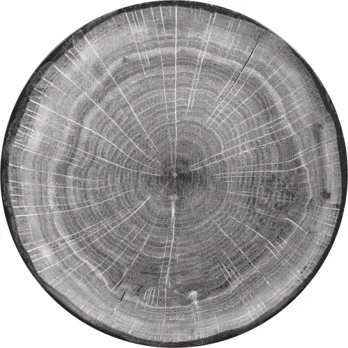 WOODART Talerz płaski szary 29 cm / RAK PORCELAIN