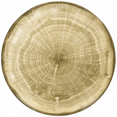 WOODART Talerz płaski brązowy 29 cm / RAK PORCELAIN