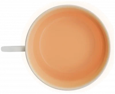ETER Filiżanka do espresso 100 ml, łososiowa / VERLO