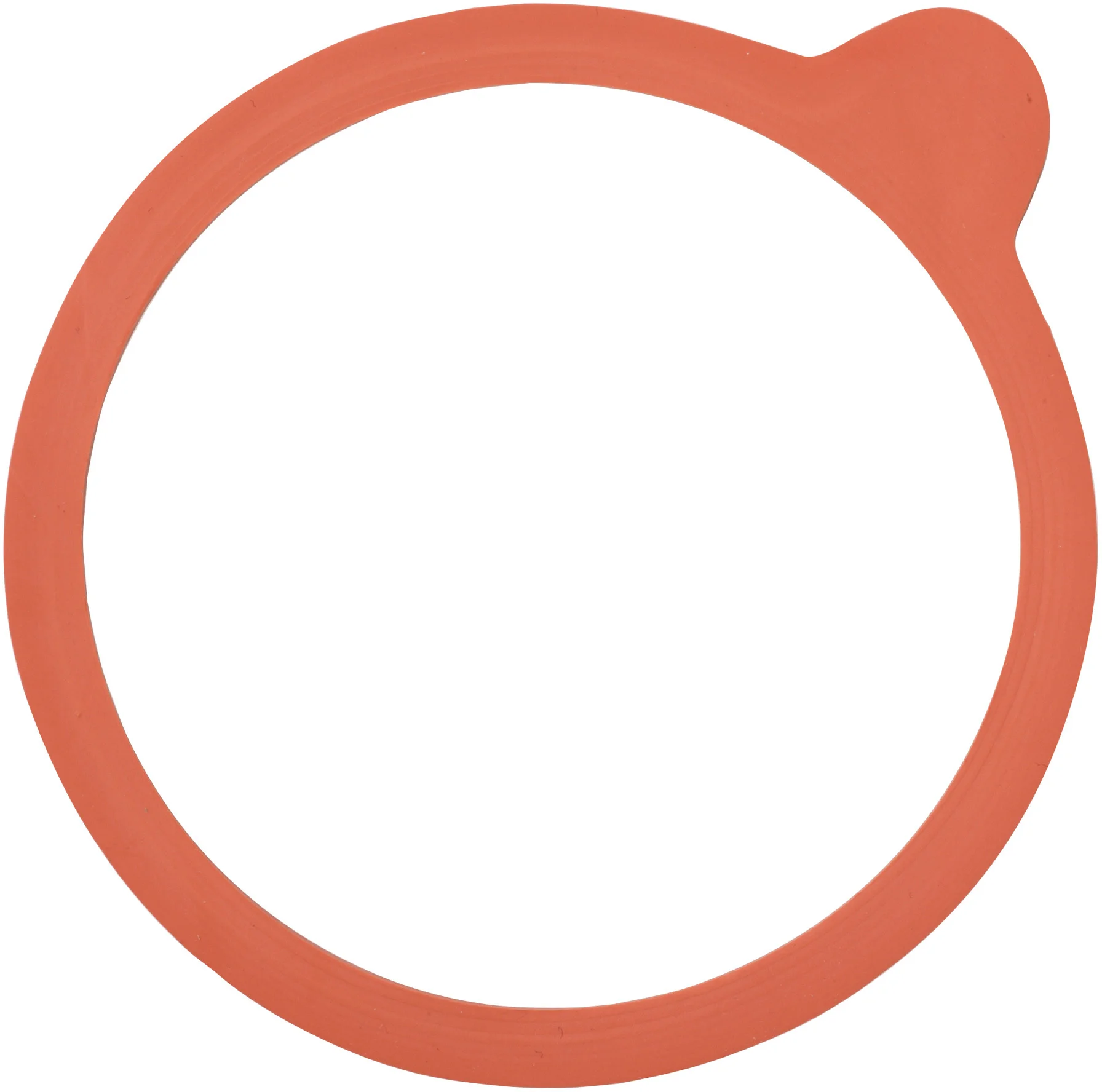 Uszczelka 100 mm op. 6 szt. / WECK